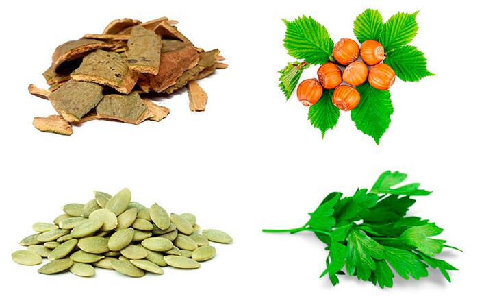 Remèdes populaires contre la prostatite écorce de tremble, graines de citrouille, persil et noisettes